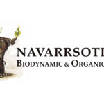 Navarrsotillo