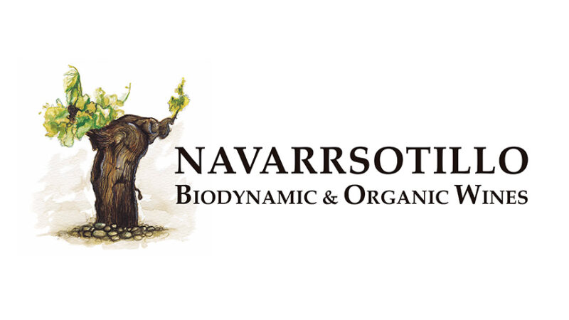 Navarrsotillo