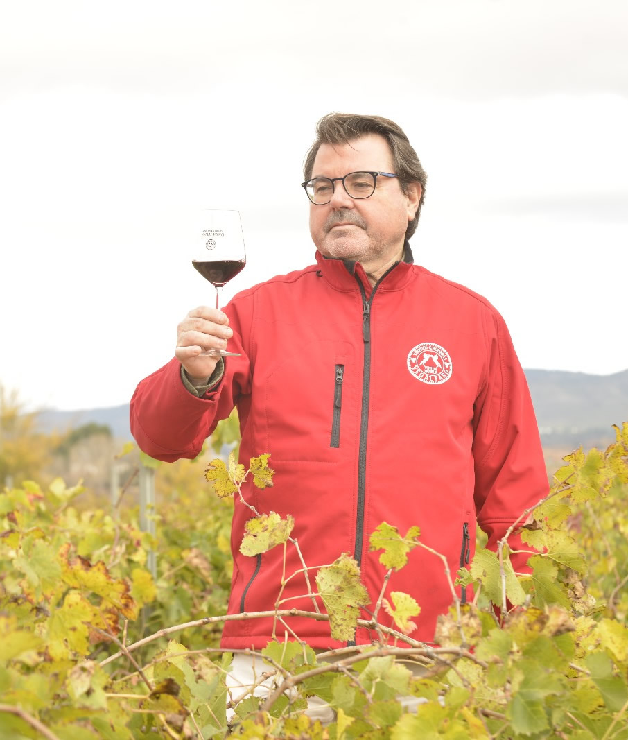 RODOLFO VALIENTE GARCIA. BODEGAS VEGALFARO